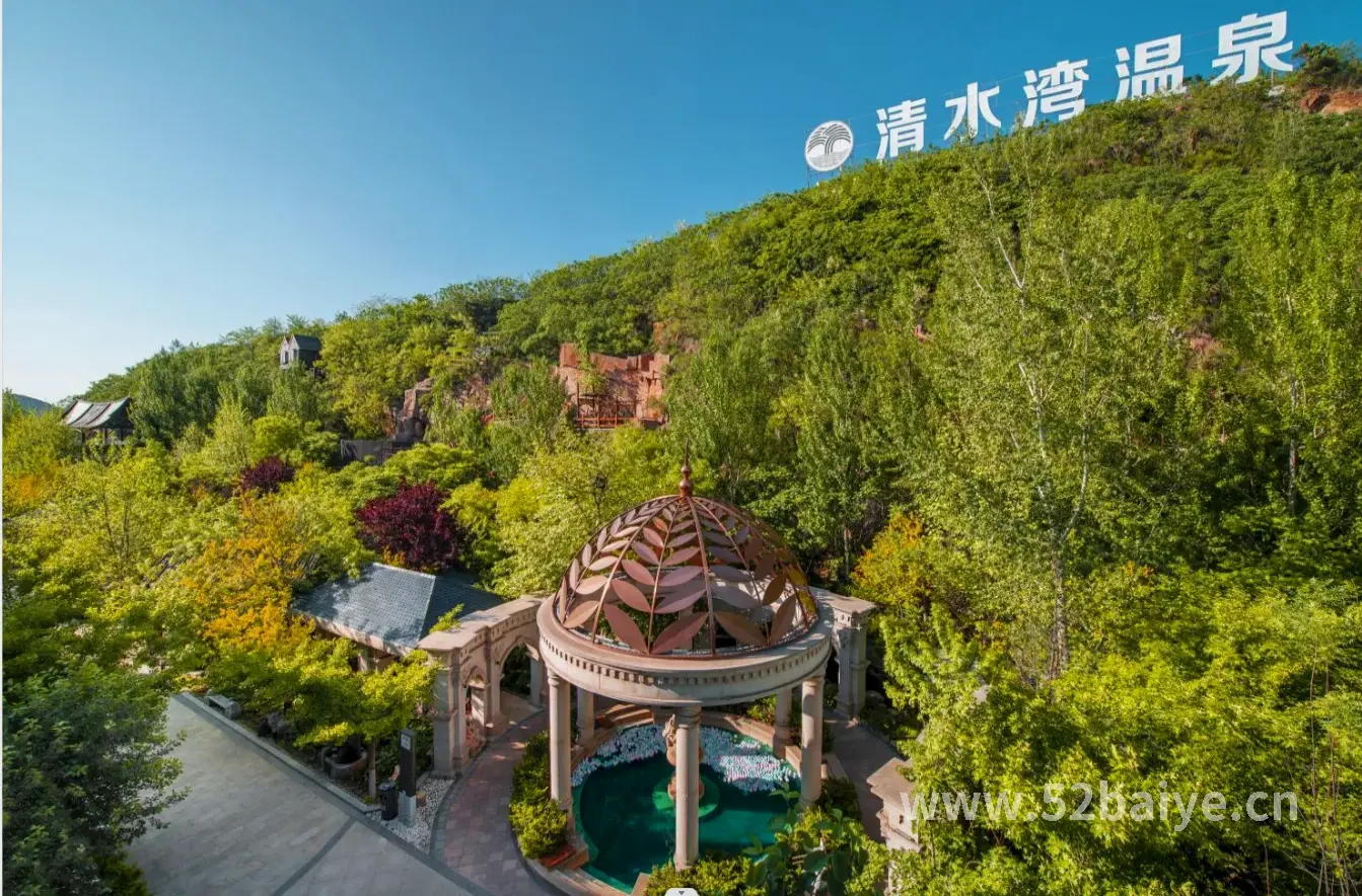 桑拿类型